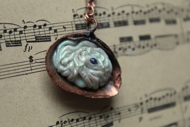 Coquillage Métamorphe ( Cuivré ) n°27