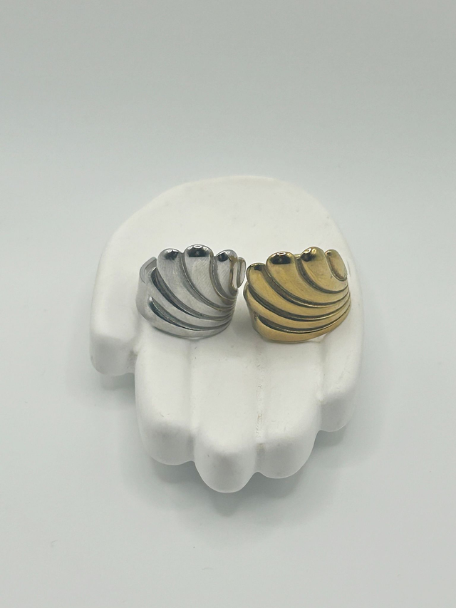 Stainless Steel Ring (SSR119J)