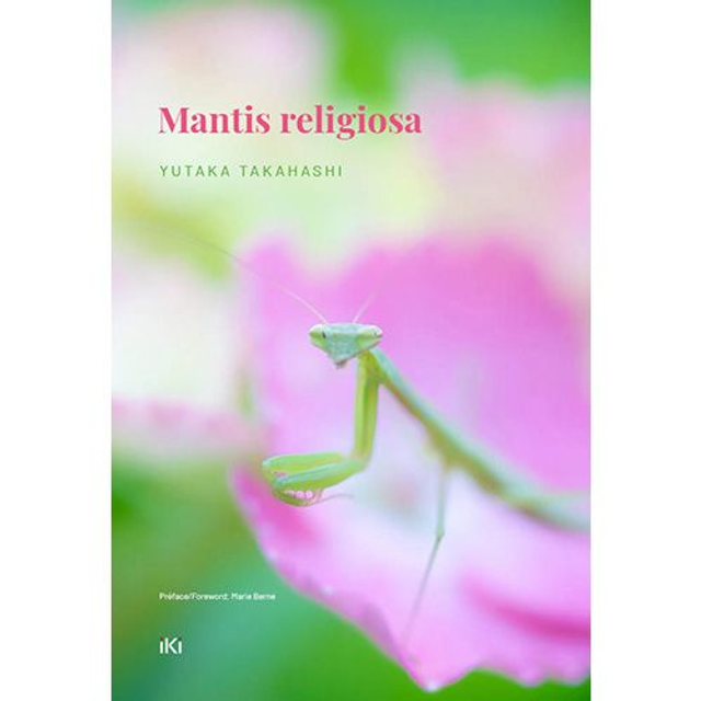 MANTIS RELIGIOSA | YUTAKA TAKAHASHI