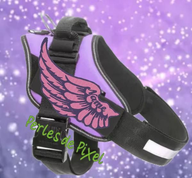 Ailes patch nominatif pour harnais animaux