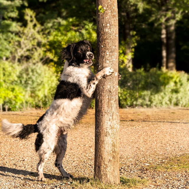 Portretshoot op locatie