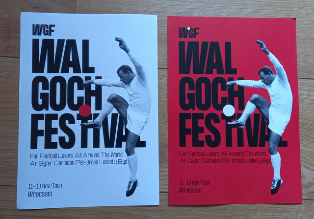 Print yr Ŵyl 2022 | 2022 Festival Print (A4)