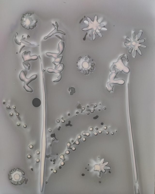 Bouquet de printemps – Jacinthes des bois