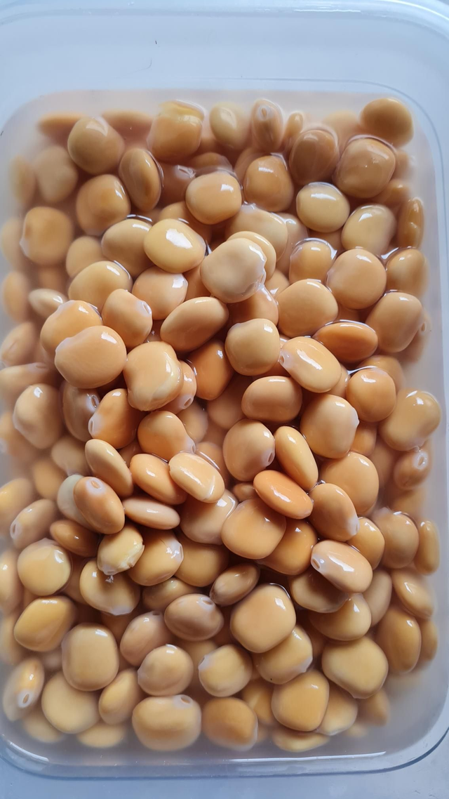 Lupins  (Prix au 100gr) retrait sur marché 