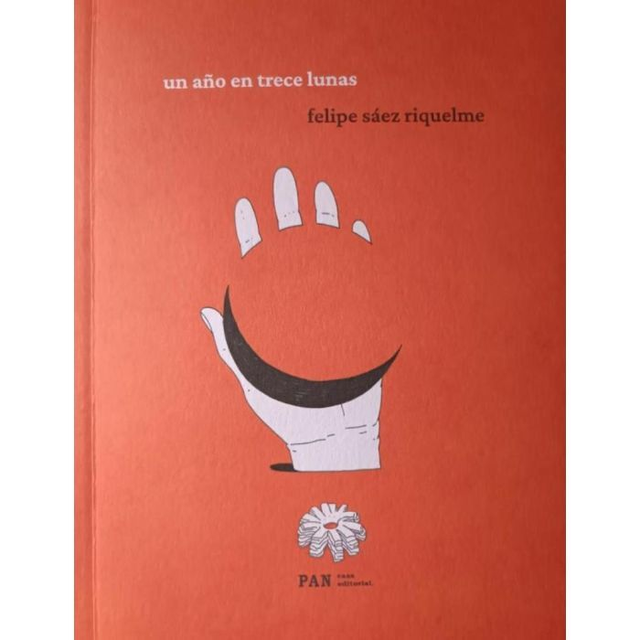 Un año en trece lunas - Felipe Sáez Riquelme