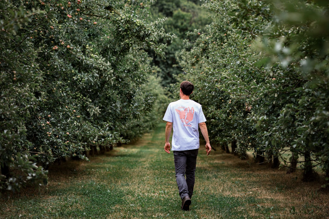 T-Shirt sérigraphié