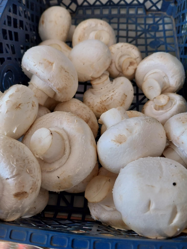 Mushrooms 200g