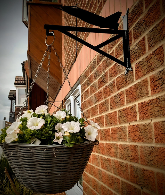 Lightning Hanging Basket