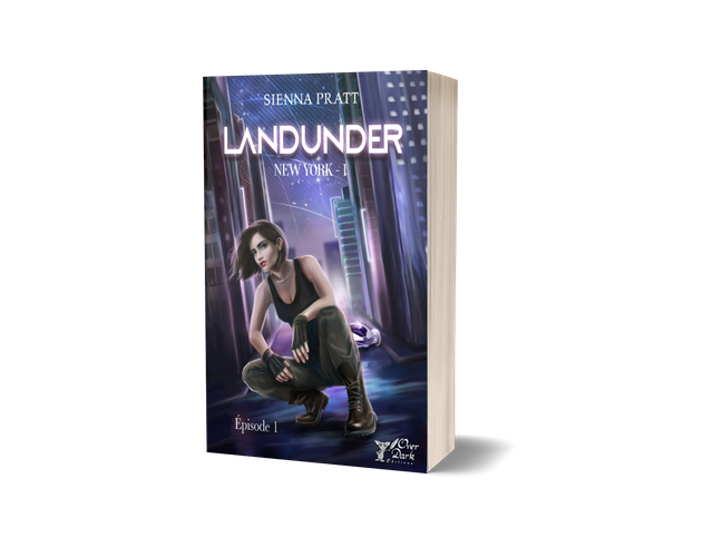 Landunder - 1. New York -1 - BROCHE