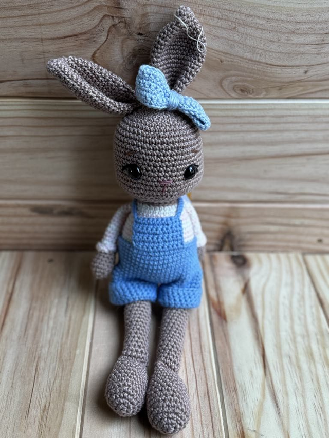 lapine avec une petite salopette