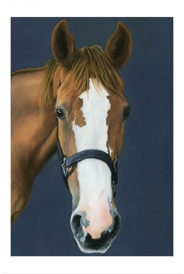 Print (large) 'SAIGON' (Olde Manegepeerd) 