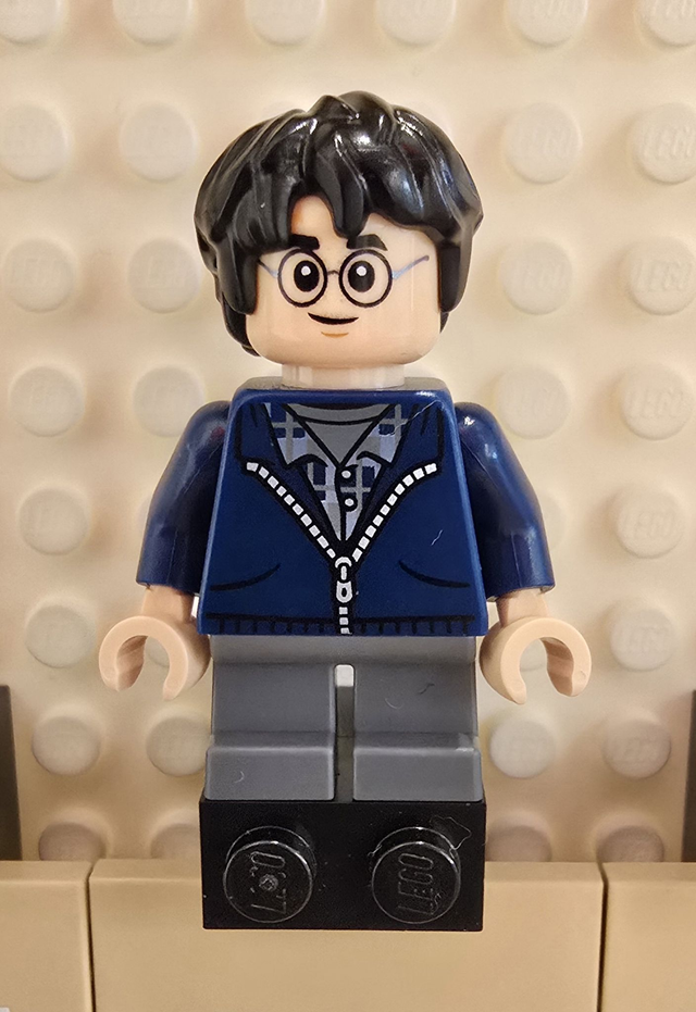 LEGO hp495 Harry Potter Minifigur