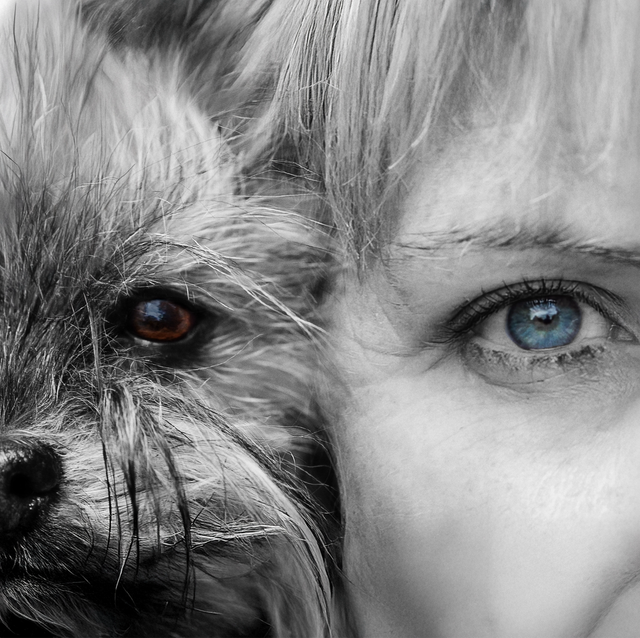 Eye to Eye Fotografie Mensch-Hund