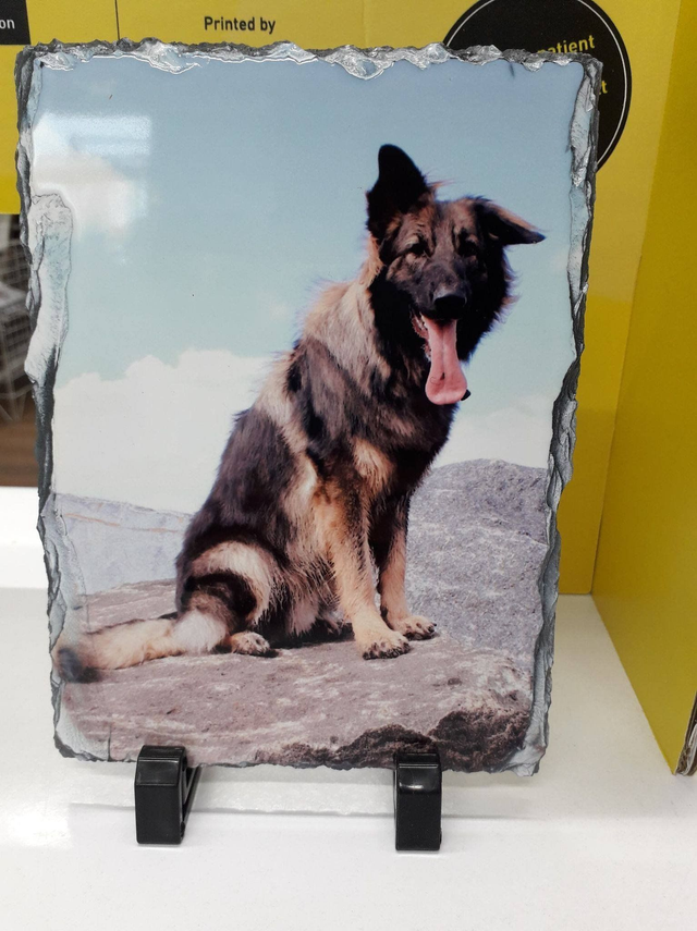 Photo Slate with your dog