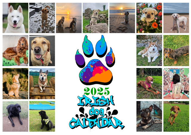 2025 Irish Dog Calendar 3 for €25