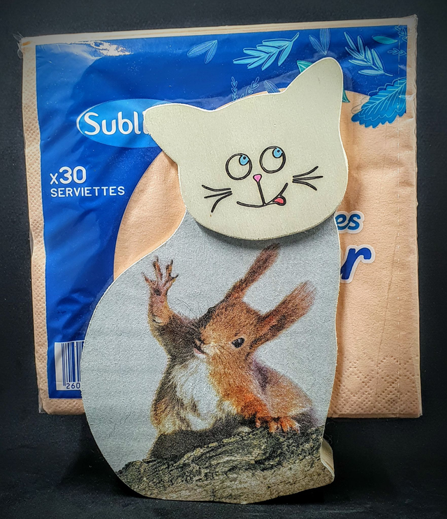 distributeur de serviettes