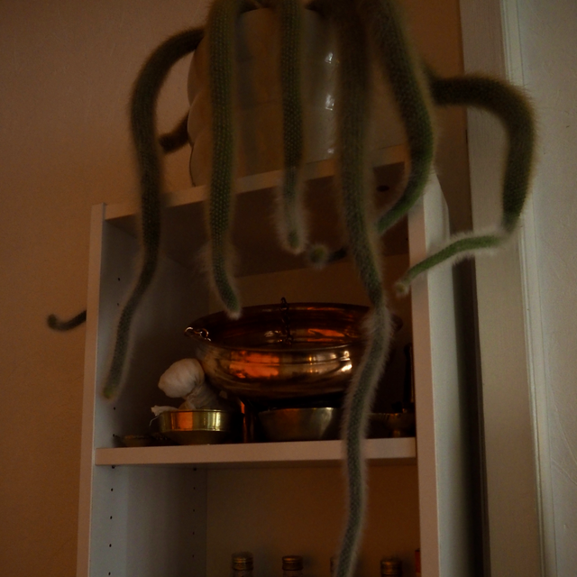 Soin suprême ~ shirodhara