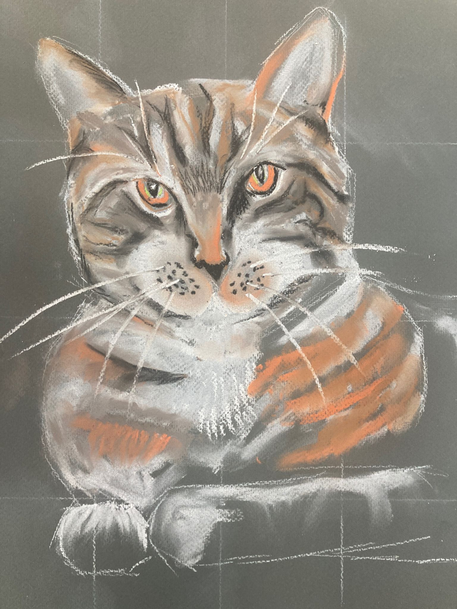 Pets in chalk pastel - class video
