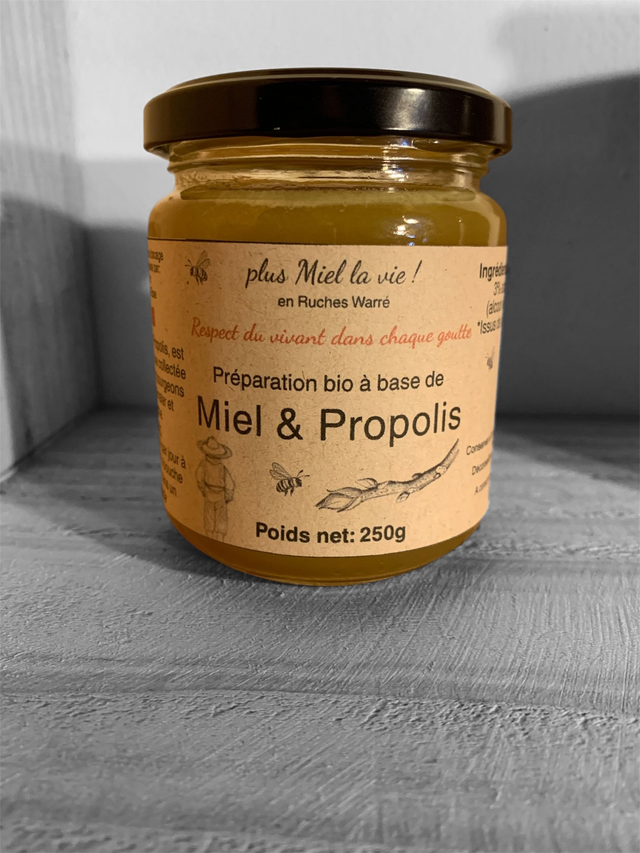 Miel et Propolis (préparation à base de)