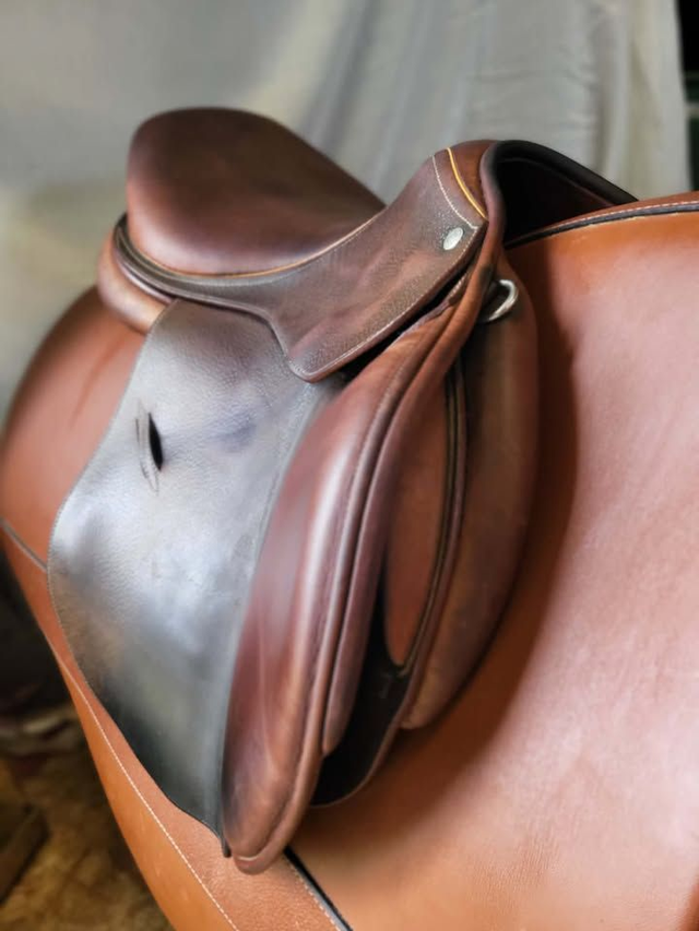 selle mixte/obst Childéric - 17'5 - occasion