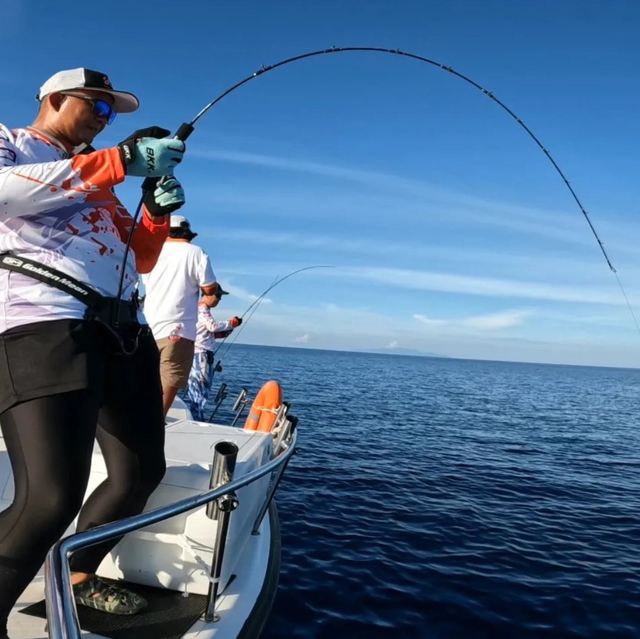 Canne Tridentech Silver Rays Casting 420gr/520gr/620gr/800gr