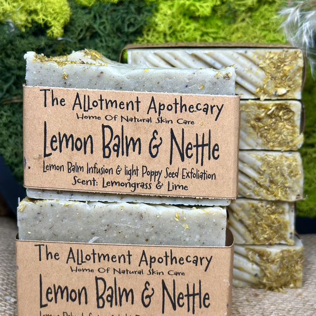 Lemon Balm &amp; Nettle Large