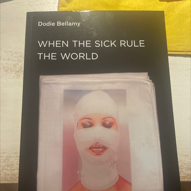 When The Sick Rule The World Dodie Bellamy