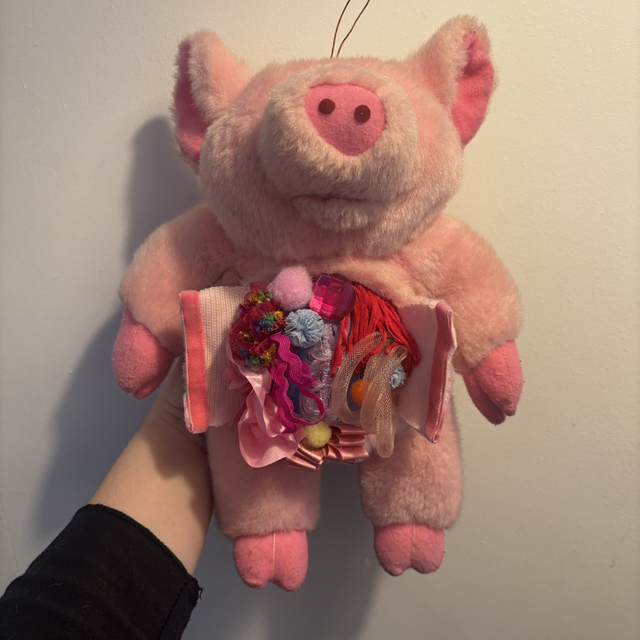 Ham - Dissected Plush