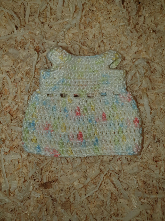 Robe pour Camille Multicolore (seule)