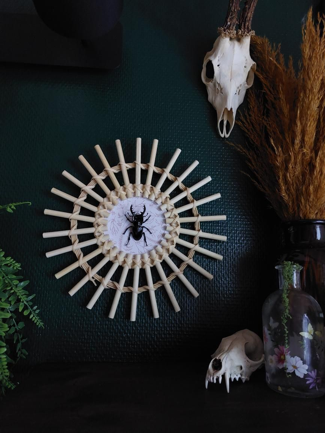 Cadre en bois avec scarabée sur fond floral