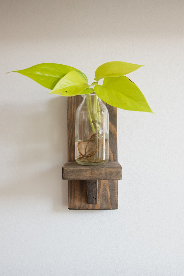 Mini étagère à bouture 🪴