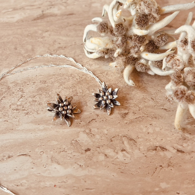 L’éternelle Alpine 