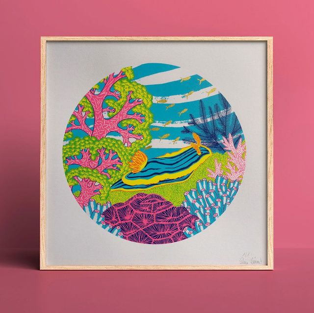 Nudibranche Chromodoris magnifica version dorée