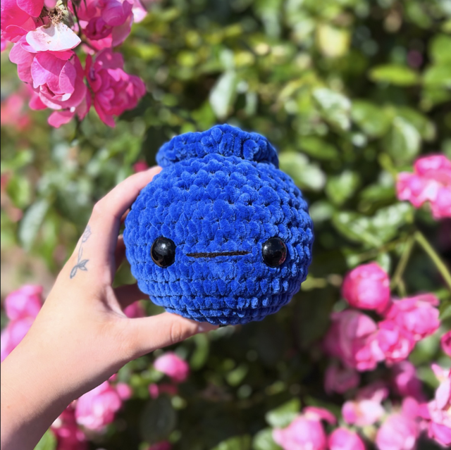 Blueberry