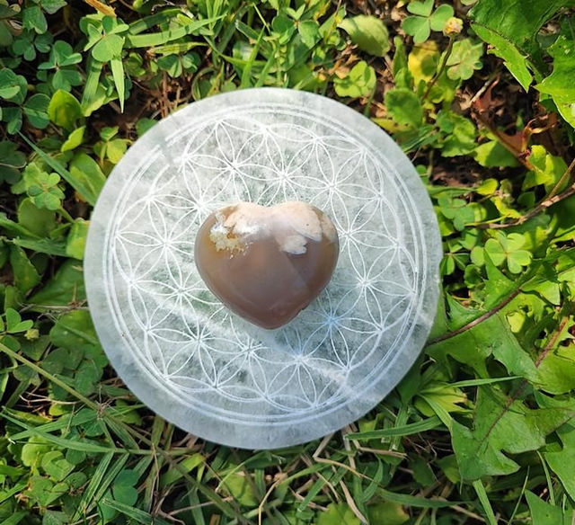 Coeur Fleur de cerisier A