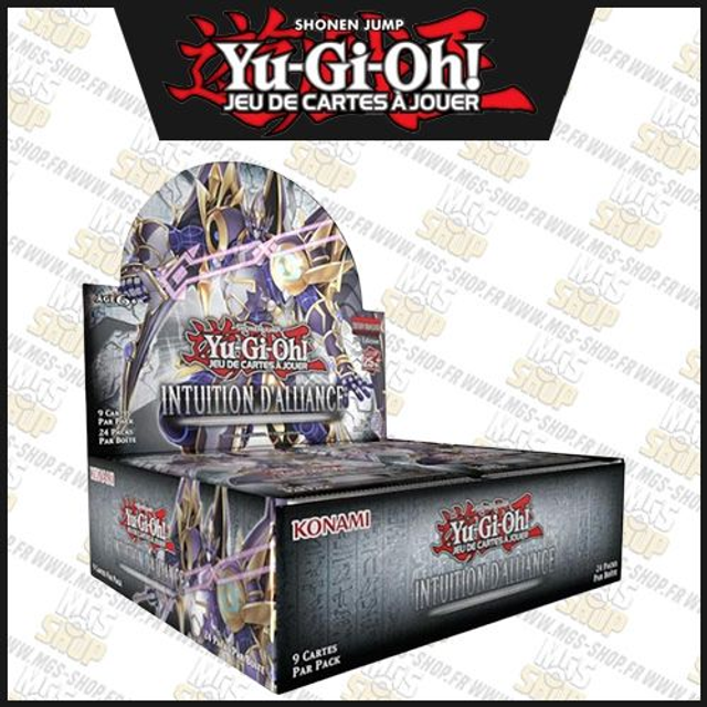 Display " Intuition D'alliance" 