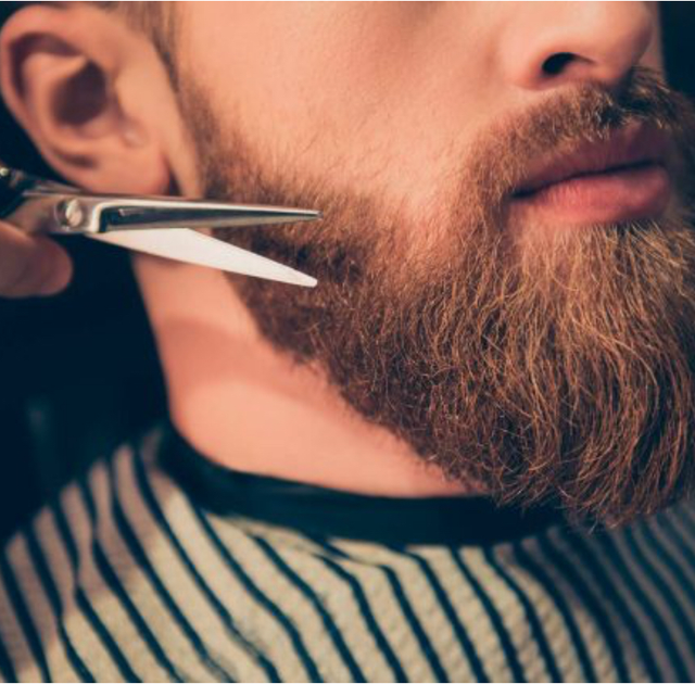 Beard Grooming