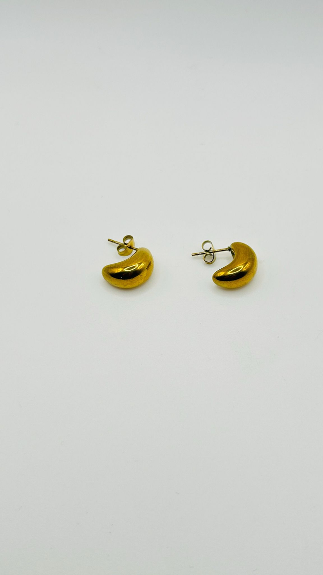 Stainless Steel Earrings (SSE91J)
