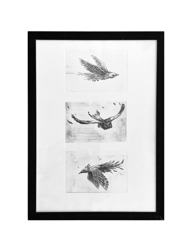 Flying birds