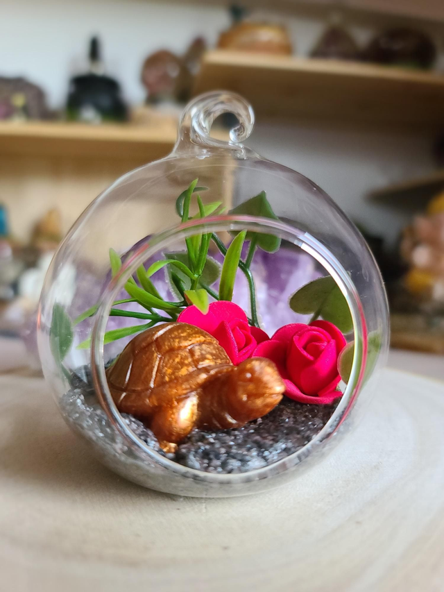 Oasis de sagesse 🐢✨️ 