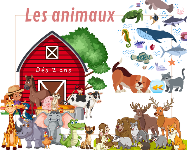 Jeu du loto des animaux 