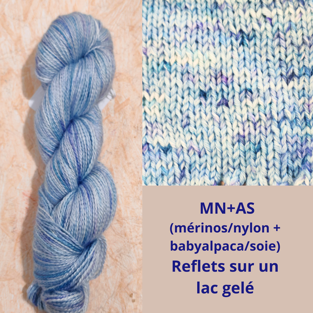 AS Reflets sur un lac gelé