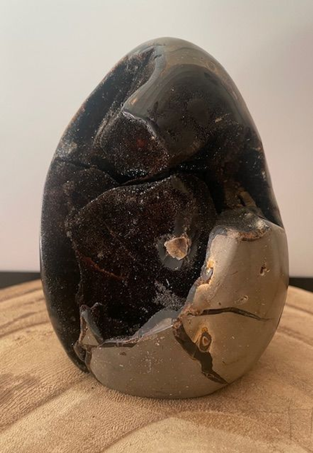 Septaria sauvage de qualité AA 1135 Gr 