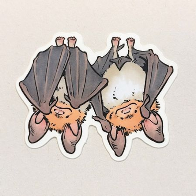 Greater mouse-eared bats sticker