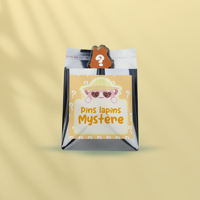Pin acrylique potilapin MYSTÈRE ✨