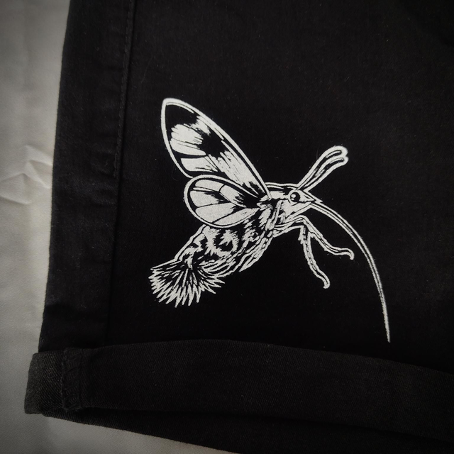 Short en Jean Taille haute "Moro-Sphinx"