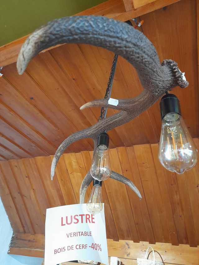 Lustre en véritable bois de cerf du mont lozere