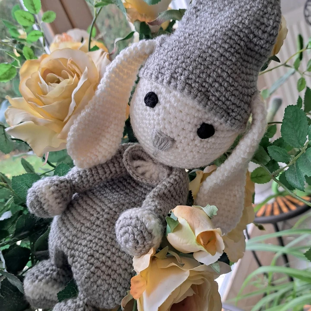 Petit Lapinou De Compagnie