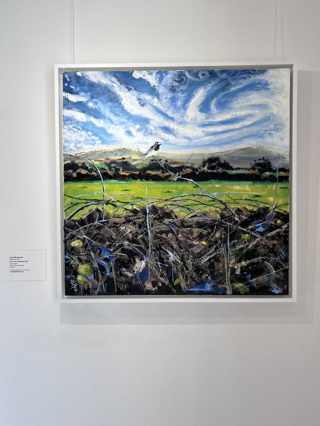 Grey Lines with Wagtail (2023) Sarah Macdonald