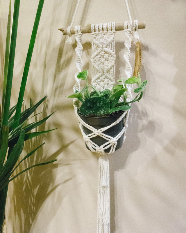 𝑃𝑜𝑟𝑡𝑎 𝑝𝑖𝑎𝑛𝑡𝑒 𝑐𝑜𝑛 𝑠𝑝𝑖𝑟𝑎𝑙𝑖